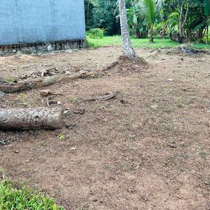 Land For Sale - Welisara - Image 2