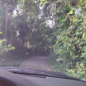 Valuable Land in Ahangama for Sale - Image 4