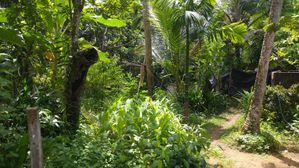 Land for Sale in Gampaha-Oruthota for sale