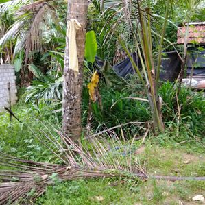 Land for Sale in Gampaha-Oruthota - Image 4