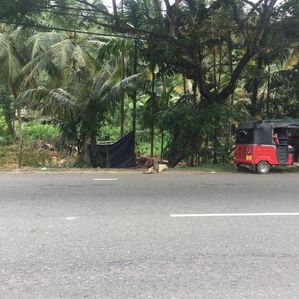 කොළඹ - නුවර ප්‍රධාන මාර්ගයට මුහුණලා ඉඩමක් විකිණීමට - Image 3