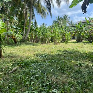 Coconut Land for Sale in Kurunegala - Image 3