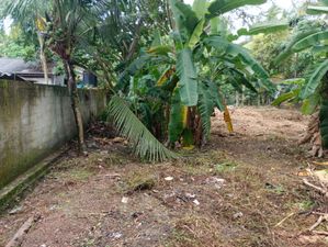 පර්චස් 16ක අඟනා ඉඩමක් විකිණීමට කඳාන