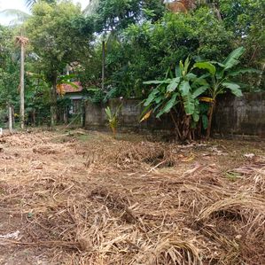 පර්චස් 16ක අඟනා ඉඩමක් විකිණීමට කඳාන - Image 3