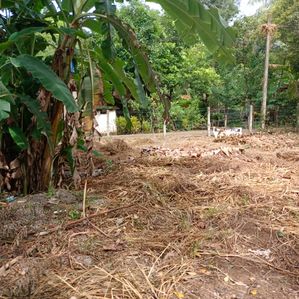 පර්චස් 16ක අඟනා ඉඩමක් විකිණීමට කඳාන - Image 4