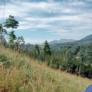 Land for sale in Shemrock, Nawalapitiya - Image 2