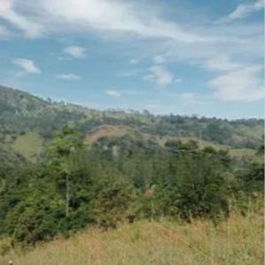 Land for sale in Shemrock, Nawalapitiya - Image 3