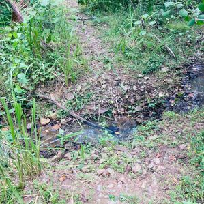 Land For Sale In Nikawaratiya - Image 4