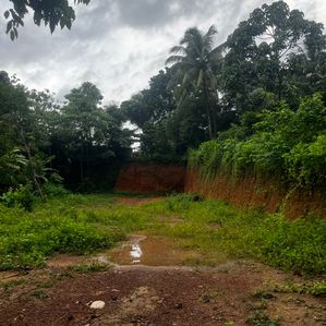 Affordable Land Near Main Road Heiyanthuduwa - Image 2
