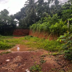 Affordable Land Near Main Road Heiyanthuduwa - Image 3