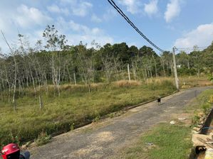 Horana Land for Sale