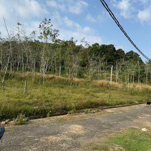 Horana Land for Sale - Image 2