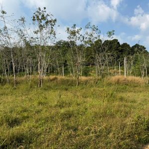 Horana Land for Sale - Image 3