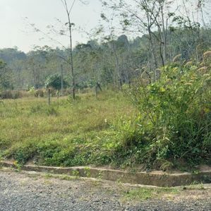 Horana Land for Sale - Image 4