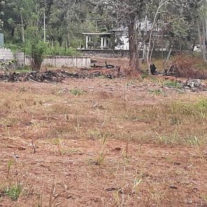 කුරුණෑගල පුත්තලම්පාරට මුහුණලා පර්චස්69ක් විකිණීමට - Image 4
