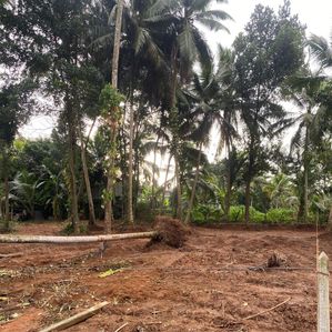 Land for Sale in Biyagama - Image 2