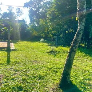 Residential Land for Sale in the Heart of Talawatugoda - Image 2