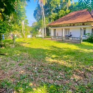 Residential Land for Sale in the Heart of Talawatugoda - Image 3