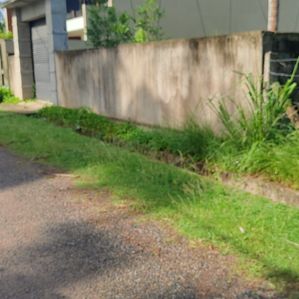 Land for Sale Kandawala - Image 2