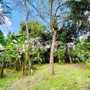 Land For Sale In Anuradhapura - Image 2