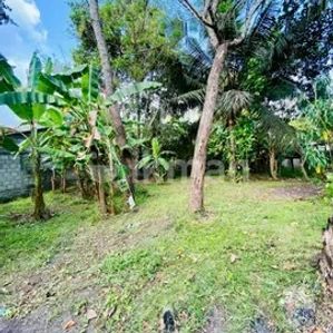 Land For Sale In Anuradhapura - Image 3