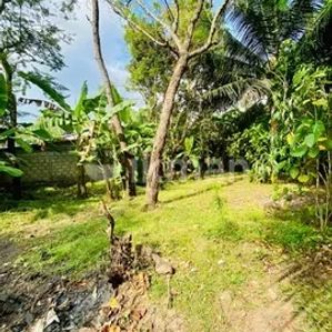 Land For Sale In Anuradhapura - Image 4