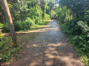 BEST RESIDENTIAL 10P LAND FOR SALE PILIYANDALA WERAHERA