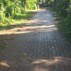 BEST RESIDENTIAL 10P LAND FOR SALE PILIYANDALA WERAHERA - Image 3