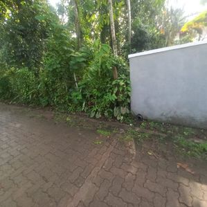 BEST RESIDENTIAL 10P LAND FOR SALE PILIYANDALA WERAHERA - Image 4