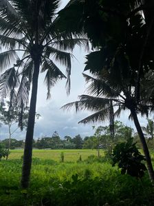 Land for Sale in Malabe for sale