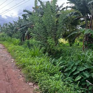 Land for Sale in Malabe - Image 2
