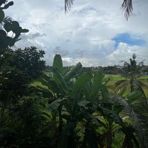 Land for Sale in Malabe - Image 3
