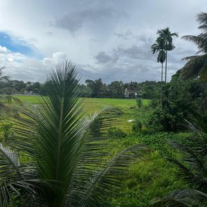 Land for Sale in Malabe - Image 4