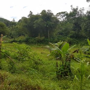Land For Sale In Ingiriya, Ratnapura - Image 2