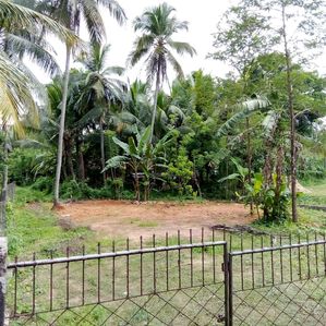221- ගිරිඋල්ල -මිරිගම පාරට ආසන්නයෙන් අගනා ඉඩමක් - Image 3