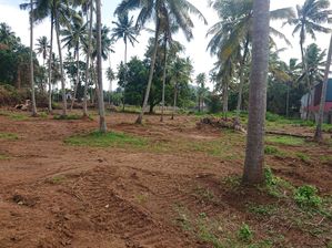 කුරුණෑගල නගරයේන් ඉඩමක් for sale