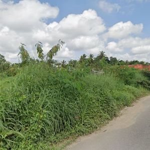 Land for Sale - 30 Perch Plot Facing Kerawalapitiya Highway Entrance - Image 3