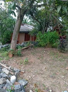 Land for Sale Dippitigoda for sale in Gampaha, Gampaha
