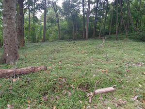 land for sale for sale in Kandy, Kandy