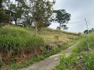 Land for sale in Kandy for sale in Kandy, Kandy