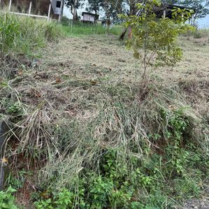 Land for sale in Kandy - Image 4