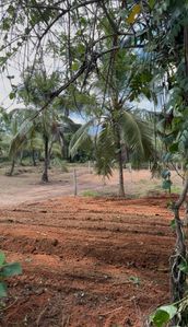Weligama - Thelijjavila Main Road Land for sale for sale