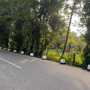 Weligama - Thelijjavila Main Road Land for sale - Image 2