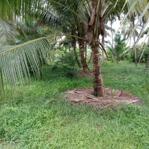 Land for sale Gonulla - Image 3