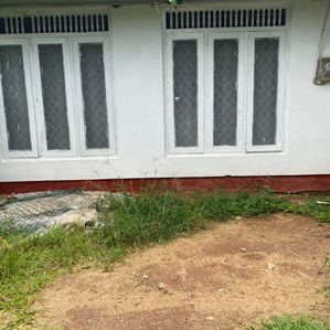 Land and House for Sale in Rajagiriya - Image 3