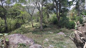 Land For Sale Badulla -Lunugala for sale in Badulla, Badulla