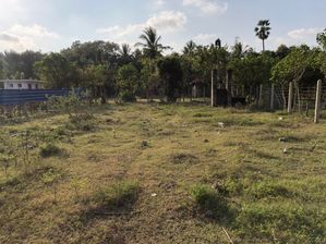 Land for Sale in Chavakachcheri for sale