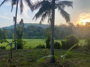 Land for Sale in Delgoda Weliweriya
