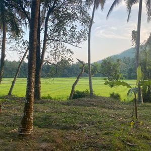 Land for Sale in Delgoda Weliweriya - Image 2
