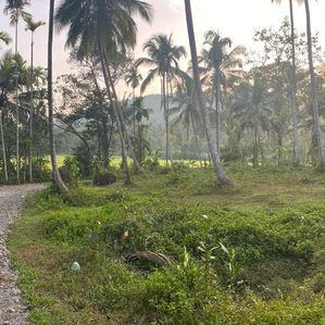 Land for Sale in Delgoda Weliweriya - Image 3